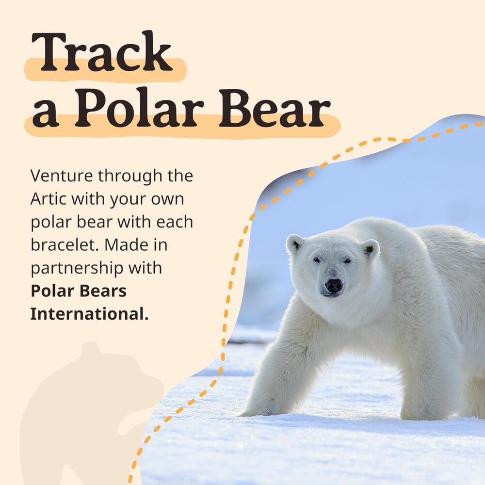 Learn And Support Wildlife With The Polar Bear Tr… - image 6